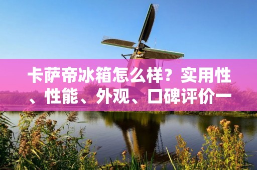 卡萨帝冰箱怎么样？实用性、性能、外观、口碑评价一网打尽！