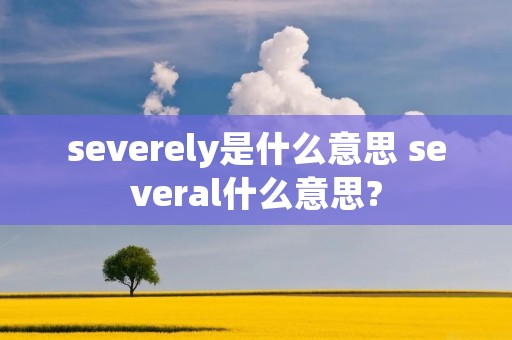 severely是什么意思 several什么意思?