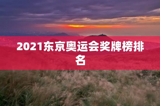 2021东京奥运会奖牌榜排名 2021东京奥运会奖牌榜排名