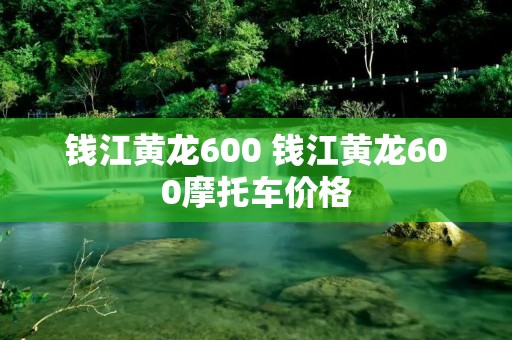 钱江黄龙600 钱江黄龙600摩托车价格