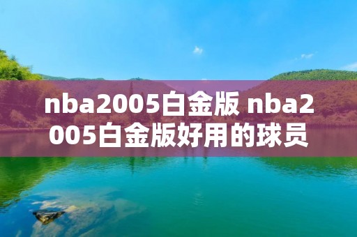 nba2005白金版 nba2005白金版好用的球员