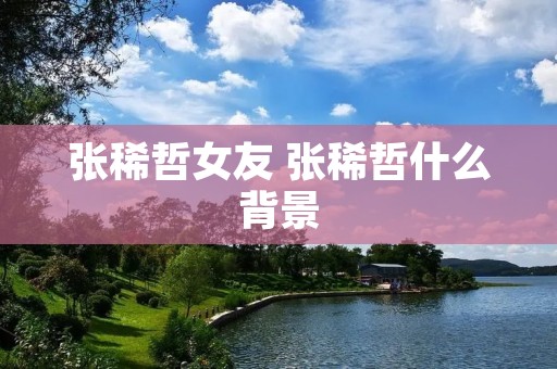 张稀哲女友 张稀哲什么背景