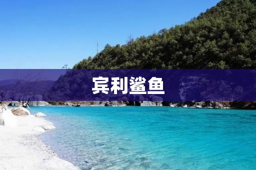 宾利鲨鱼：跑车中的极品