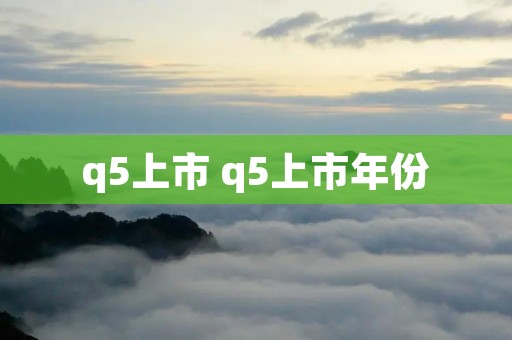 q5上市 q5上市年份