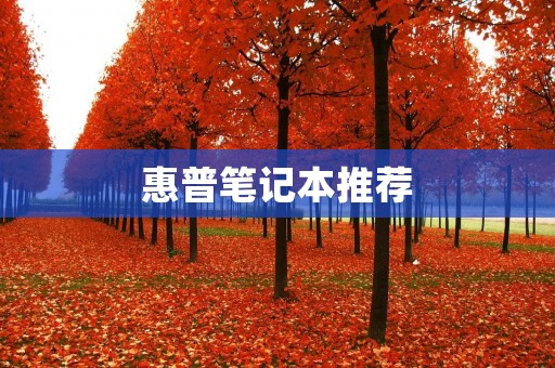 惠普笔记本推荐：高性能、优质体验的最佳选择