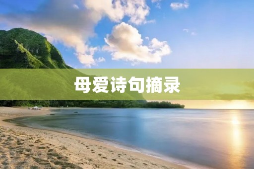 母爱诗句摘录 母爱诗句摘录