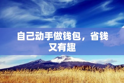 自己动手做钱包,省钱又有趣 自己动手做钱包,省钱又有趣