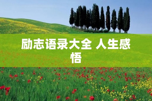 励志语录大全 人生感悟 励志语录大全 人生感悟
