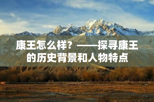 康王怎么样？——探寻康王的历史背景和人物特点