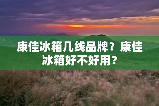 康佳冰箱几线品牌？康佳冰箱好不好用？