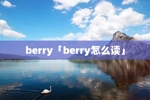 berry「berry怎么读」