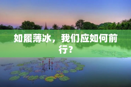 如履薄冰,我们应如何前行? 如履薄冰,我们应如何前行?