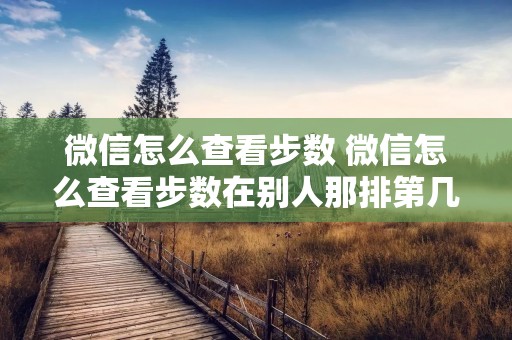微信怎么查看步数 微信怎么查看步数在别人那排第几
