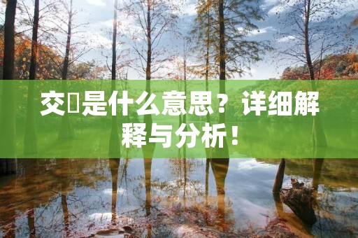 交姤是什么意思?详细解释与分析! 交姤是什么意思?详细解释与分析!