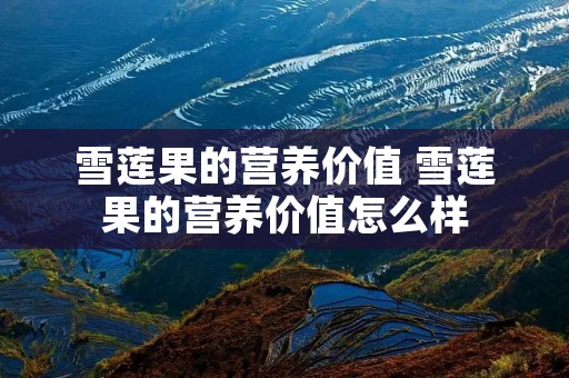 雪莲果的营养价值 雪莲果的营养价值怎么样