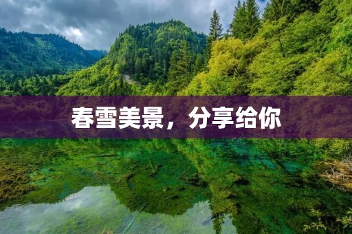 春雪美景，分享给你