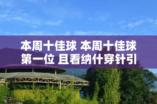 本周十佳球 本周十佳球第一位 且看纳什穿针引线,小霸王力劈华山