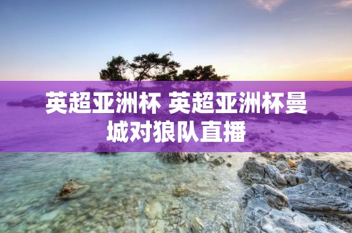 英超亚洲杯 英超亚洲杯曼城对狼队直播 英超亚洲杯 英超亚洲杯曼城对狼队直播