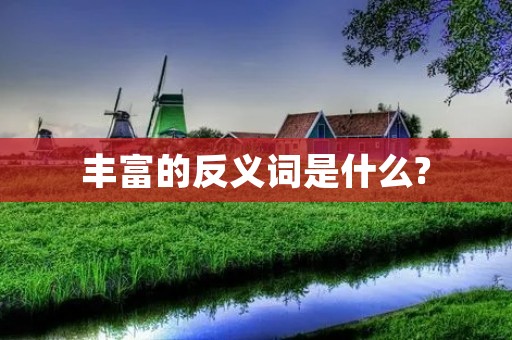丰富的反义词是什么? 丰富的反义词是什么?