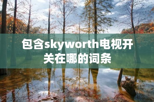 包含skyworth电视开关在哪的词条