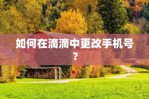 如何在滴滴中更改手机号？