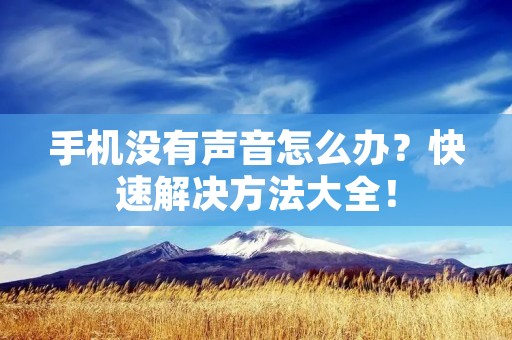 手机没有声音怎么办？快速解决方法大全！