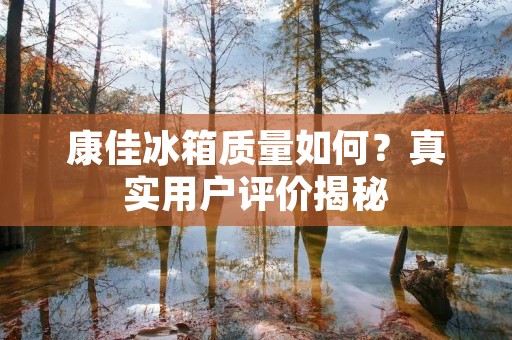康佳冰箱质量如何?真实用户评价揭秘 康佳冰箱质量如何?真实用户评价揭秘