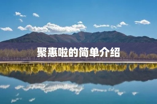 聚惠啦的简单介绍