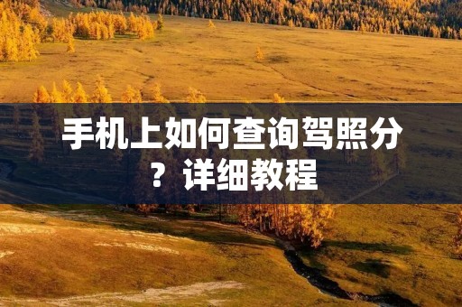 手机上如何查询驾照分？详细教程
