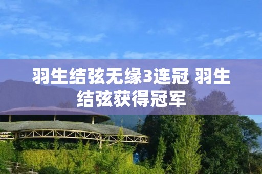 羽生结弦无缘3连冠 羽生结弦获得冠军 羽生结弦无缘3连冠 羽生结弦获得冠军