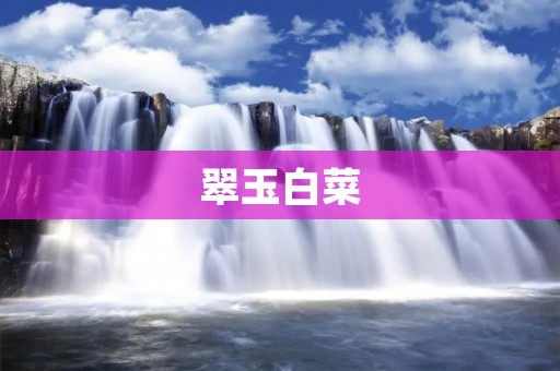 翠玉白菜：中国文物中的珍品