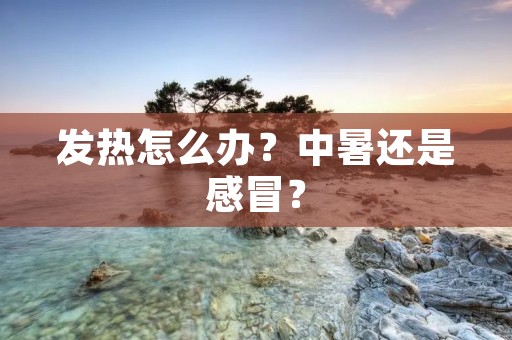 发热怎么办?中暑还是感冒? 发热怎么办?中暑还是感冒?