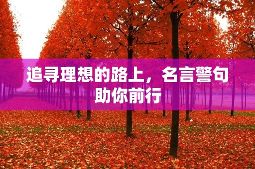 追寻理想的路上，名言警句助你前行