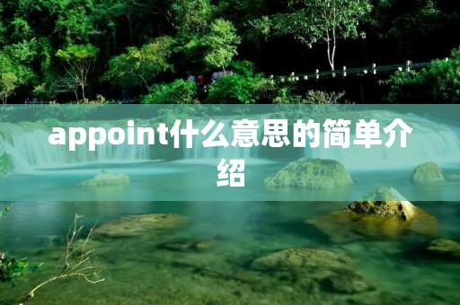 appoint什么意思的简单介绍 appoint什么意思的简单介绍