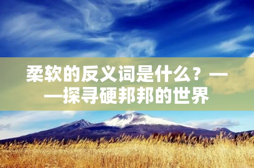 柔软的反义词是什么?——探寻硬邦邦的世界 柔软的反义词是什么?——探寻硬邦邦的世界