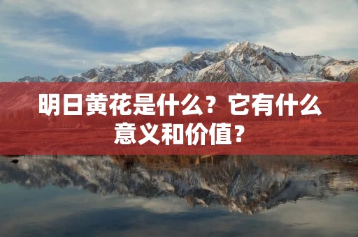 明日黄花是什么？它有什么意义和价值？
