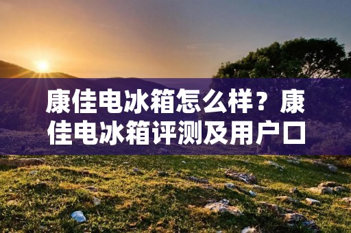 康佳电冰箱怎么样?康佳电冰箱评测及用户口碑调查 康佳电冰箱怎么样?康佳电冰箱评测及用户口碑调查