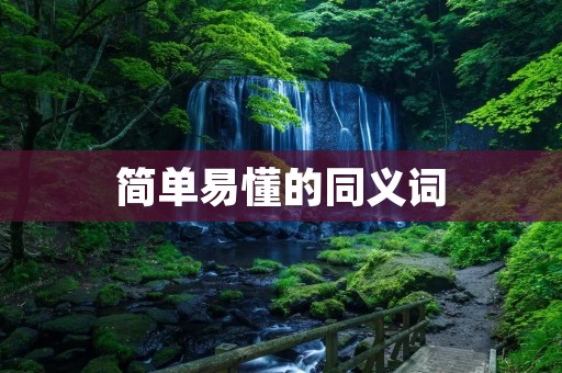 简单易懂的同义词 简单易懂的同义词