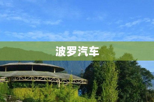 波罗汽车：一款集经济、环保、安全于一体的新型电动汽车