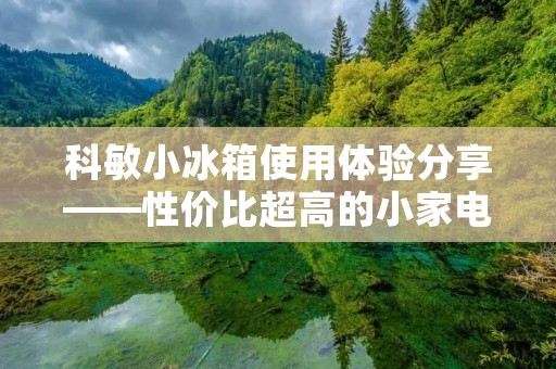 科敏小冰箱使用体验分享——性价比超高的小家电 科敏小冰箱使用体验分享——性价比超高的小家电