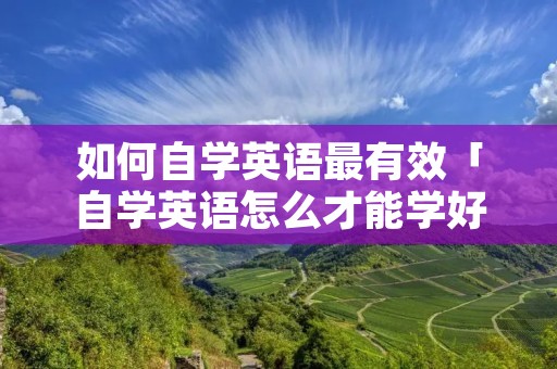如何自学英语最有效「自学英语怎么才能学好」 如何自学英语最有效「自学英语怎么才能学好」