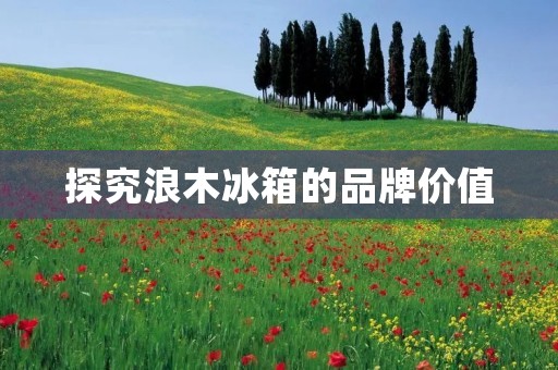 探究浪木冰箱的品牌价值:浪木冰箱是名牌吗? 探究浪木冰箱的品牌价值:浪木冰箱是名牌吗?