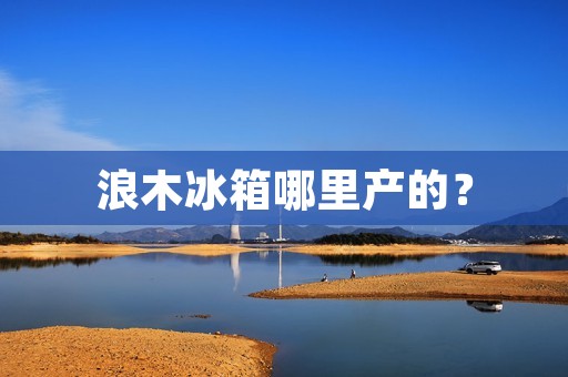 浪木冰箱哪里产的？