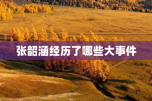 张韶涵经历了哪些大事件
