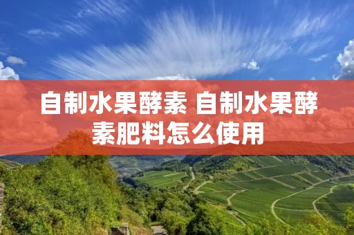 自制水果酵素 自制水果酵素肥料怎么使用