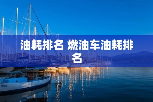 油耗排名 燃油车油耗排名
