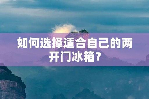 如何选择适合自己的两开门冰箱? 如何选择适合自己的两开门冰箱?