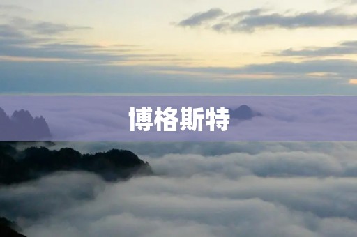 博格斯特:领先的工业自动化解决方案提供商 博格斯特:领先的工业自动化解决方案提供商