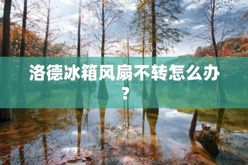 洛德冰箱风扇不转怎么办? 洛德冰箱风扇不转怎么办?