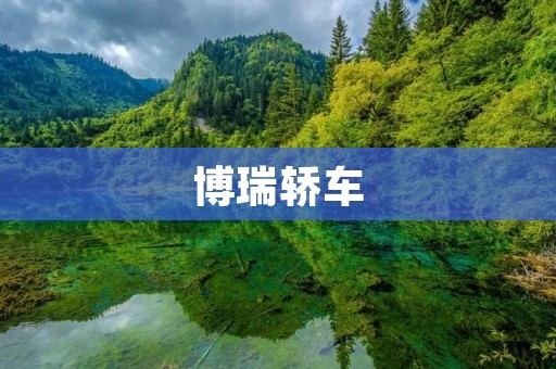 博瑞轿车：中国汽车品牌的新力量